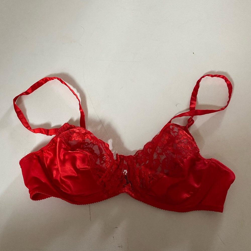 Dior Vibrant Red Lace Bra